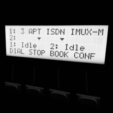 Englischer Sprecher ISDN