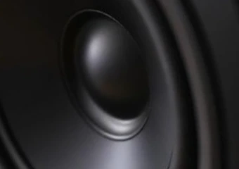 Fostex Speaker